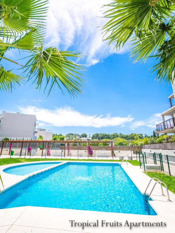 Lime Golden Star, Javea
